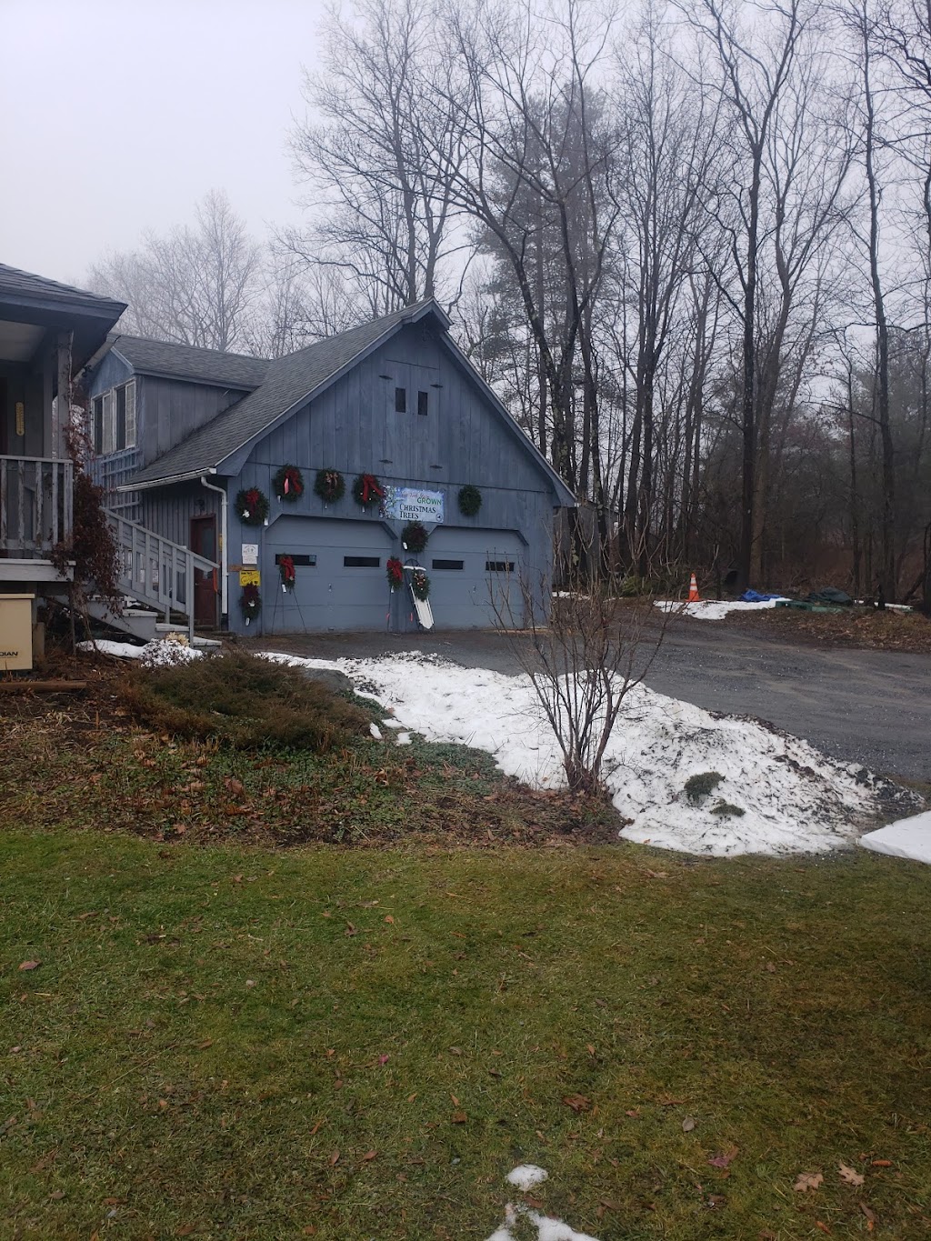 Morins Tree Farm | 635 Groveside Rd, Buskirk, NY 12028, USA | Phone: (518) 275-8501