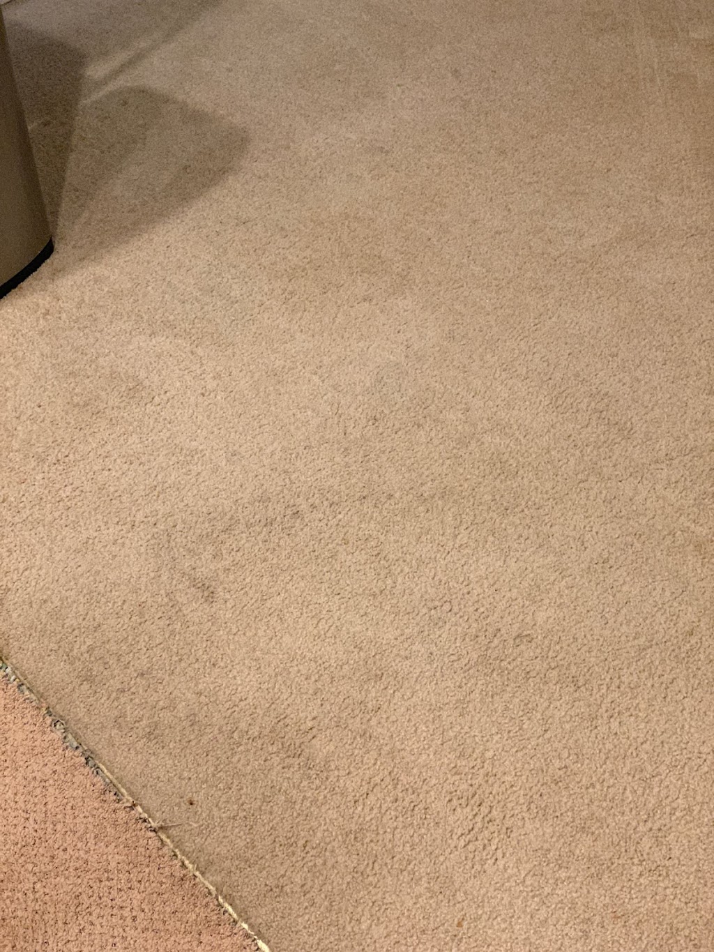5 Star Carpet Cleaning | 1816 61st St SE #8007, Auburn, WA 98092, USA | Phone: (206) 250-7003