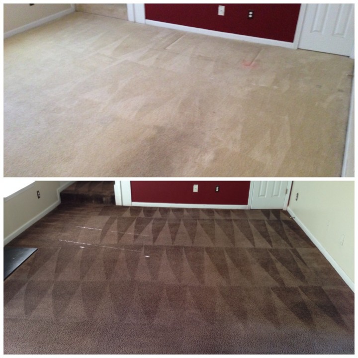 San Diego Carpet Dyeing | 4844 Orchard Ave, San Diego, CA 92107 | Phone: (619) 674-7779