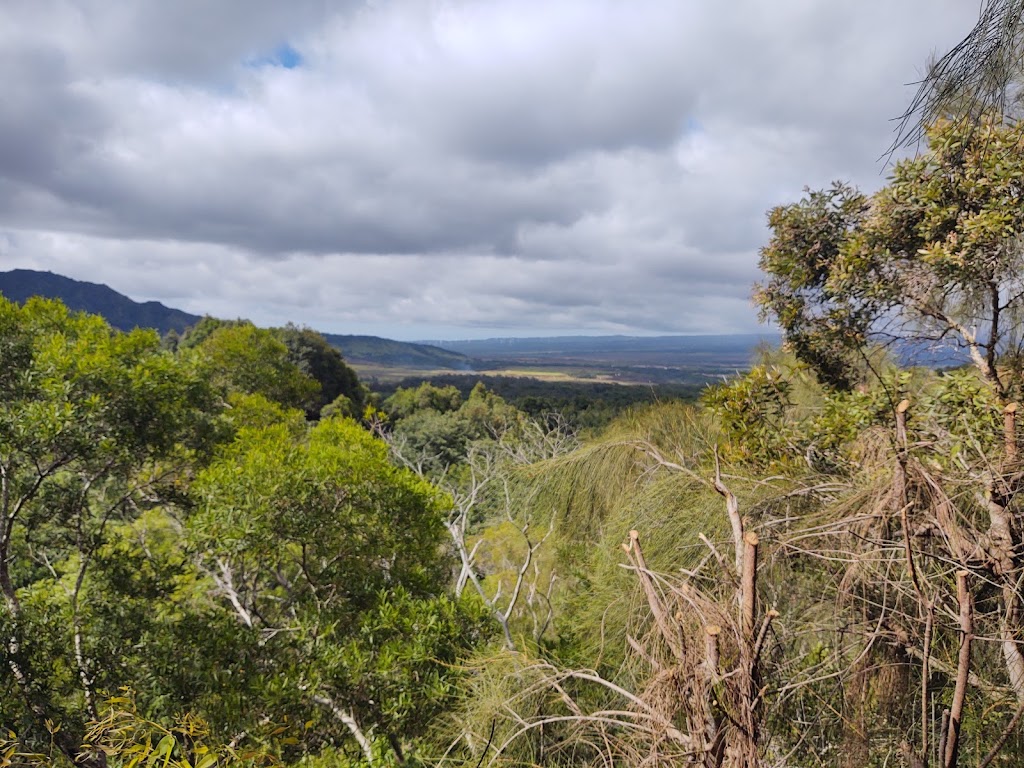 Kolekole Hike | Kolekole Dr, Wahiawa, HI 96786, USA | Phone: (808) 655-1434