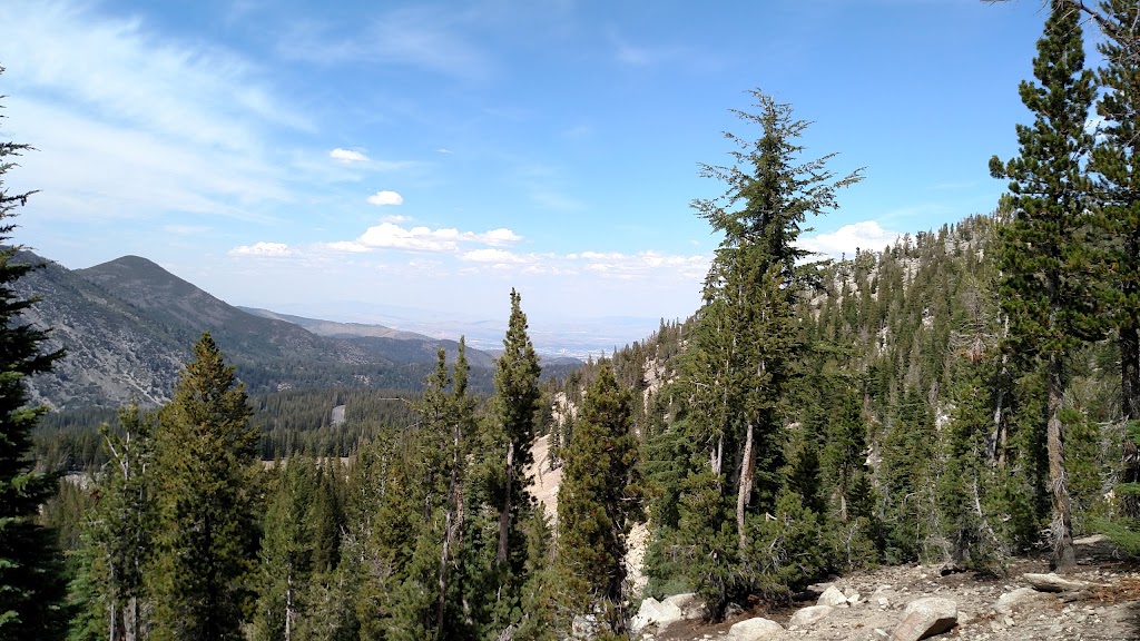 Tahoe Meadows Tahoe Rim Trail Trailhead | New Washoe City, NV 89704, USA | Phone: (775) 298-4485