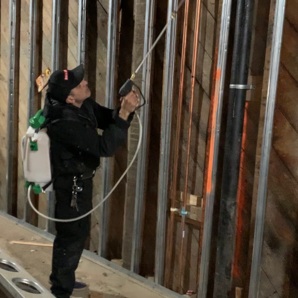 Bug Swatters | 87 Wadsworth Ave, Lakewood, NJ 08701, USA | Phone: (732) 994-2911