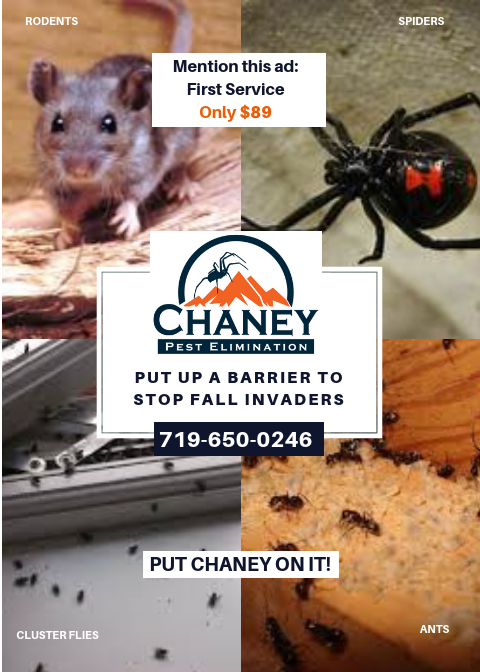 Chaney Pest Elimination | 33 Kenosha Cir, Divide, CO 80814, USA | Phone: (719) 650-0246
