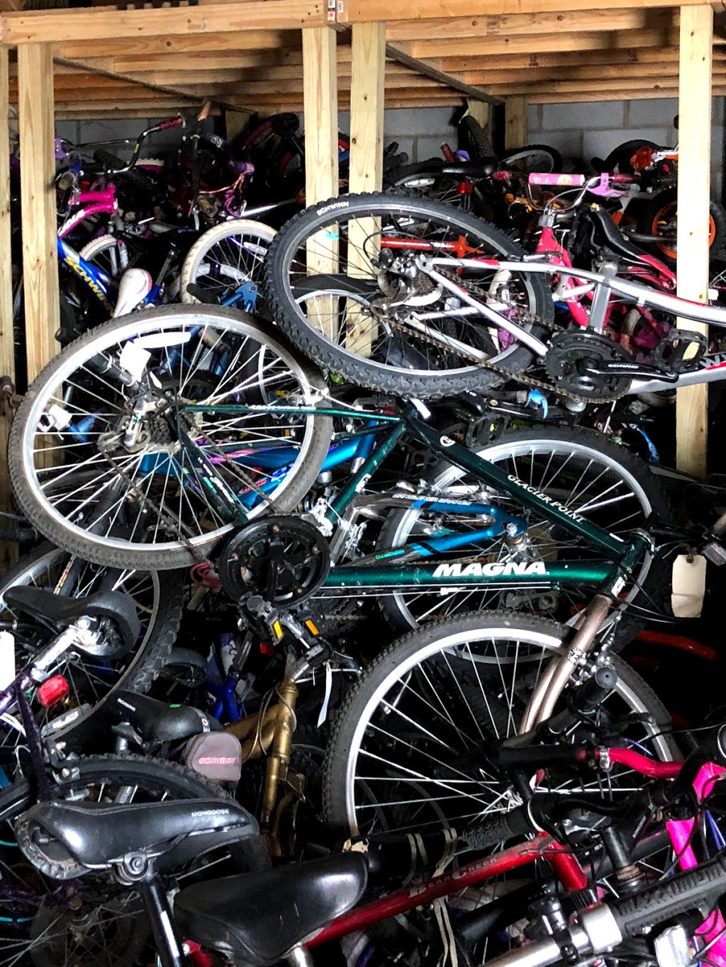 bike shop on central ave