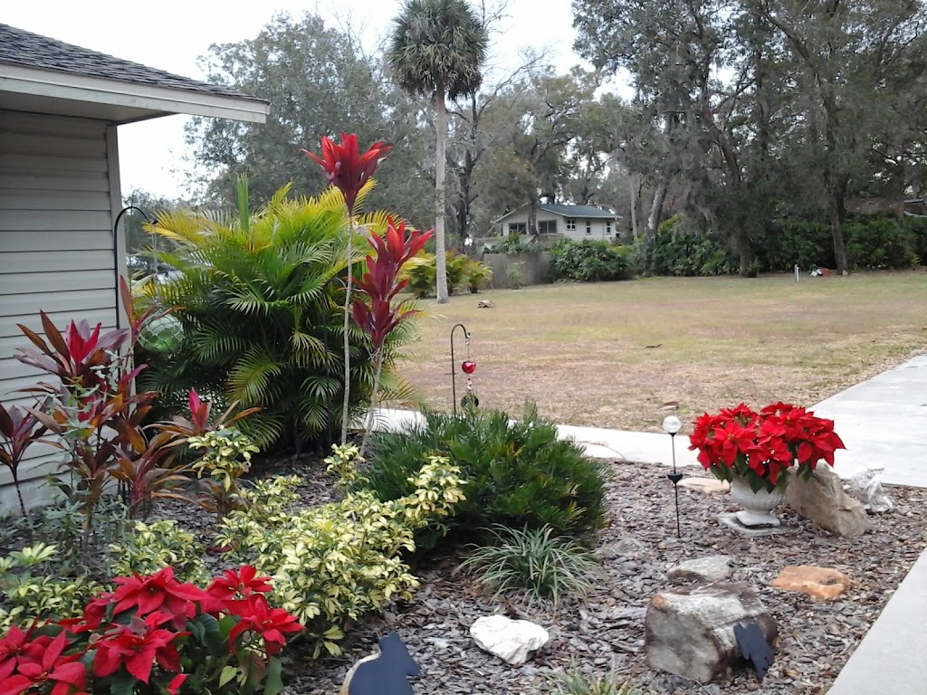 Ridge Manor Campground | 33456 Cortez Blvd, Dade City, FL 33523, USA | Phone: (352) 583-2737