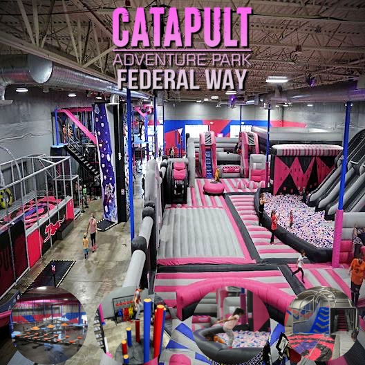 Catapult Adventure Park Federal Way | 35025 Enchanted Pkwy S, Federal Way, WA 98003, USA | Phone: (253) 517-5853