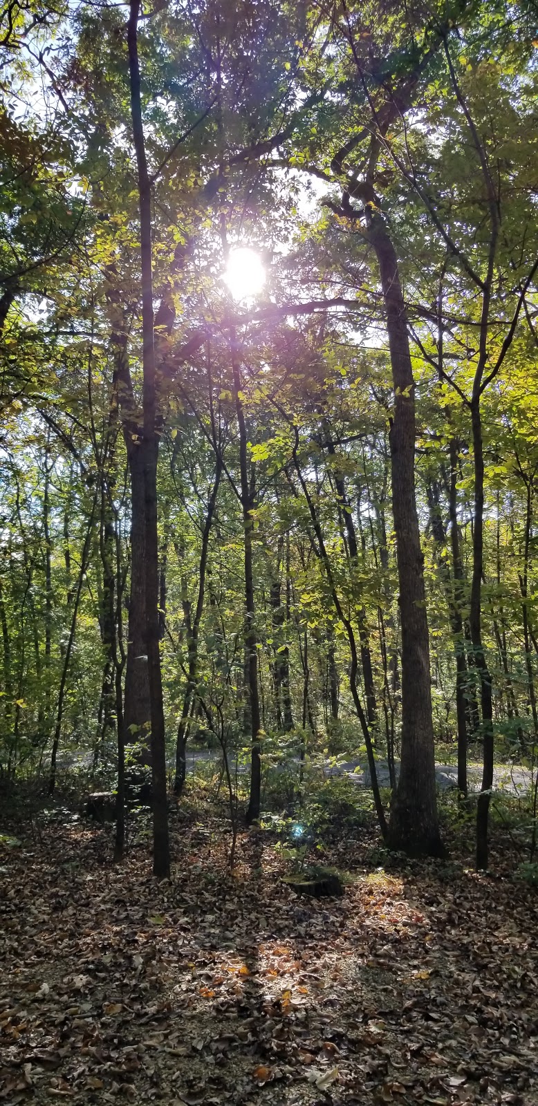 Blue Mound State Park - West Observation Tower | 4350 Mounds Park Rd, Blue Mounds, WI 53517, USA | Phone: (608) 437-5711