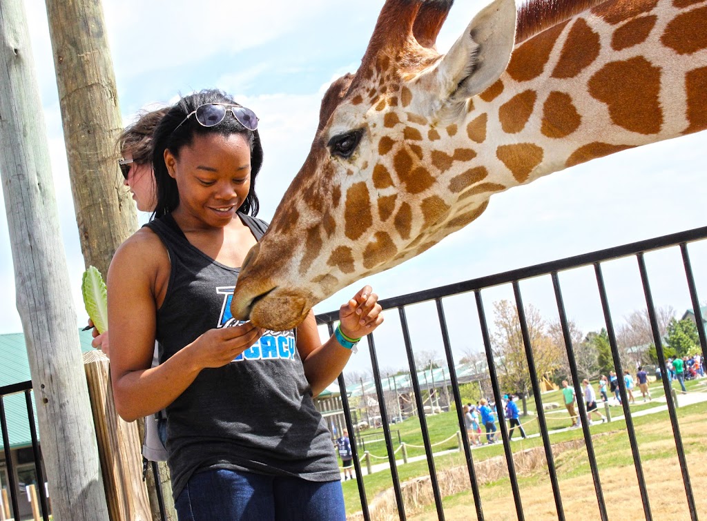 Tanganyika Wildlife Park | 1000 S Hawkins Ln, Goddard, KS 67052, USA | Phone: (316) 794-8954