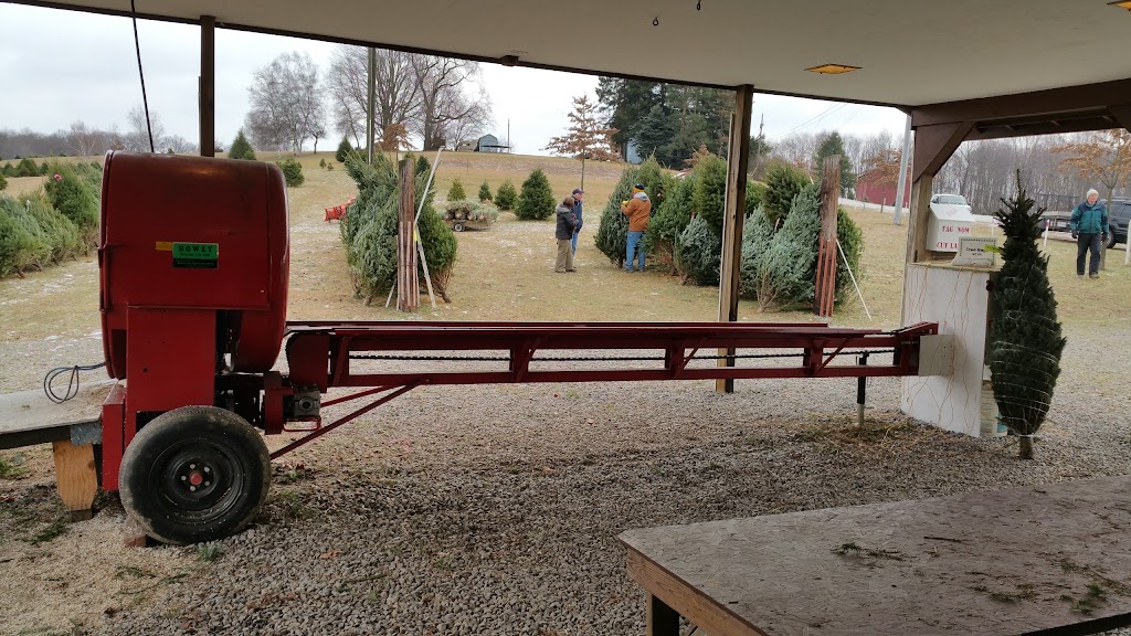 Cyphers Christmas Tree Farm | 179 Wise Rd, Butler, PA 16002, USA | Phone: (724) 477-8733