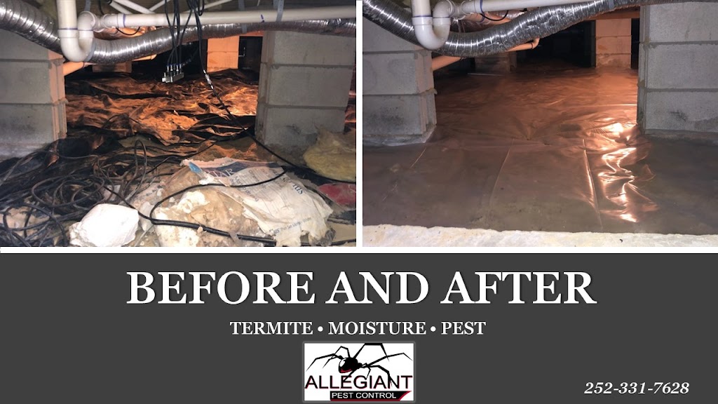 Allegiant Pest Control | 245 US-158, Camden, NC 27921, USA | Phone: (252) 331-7628