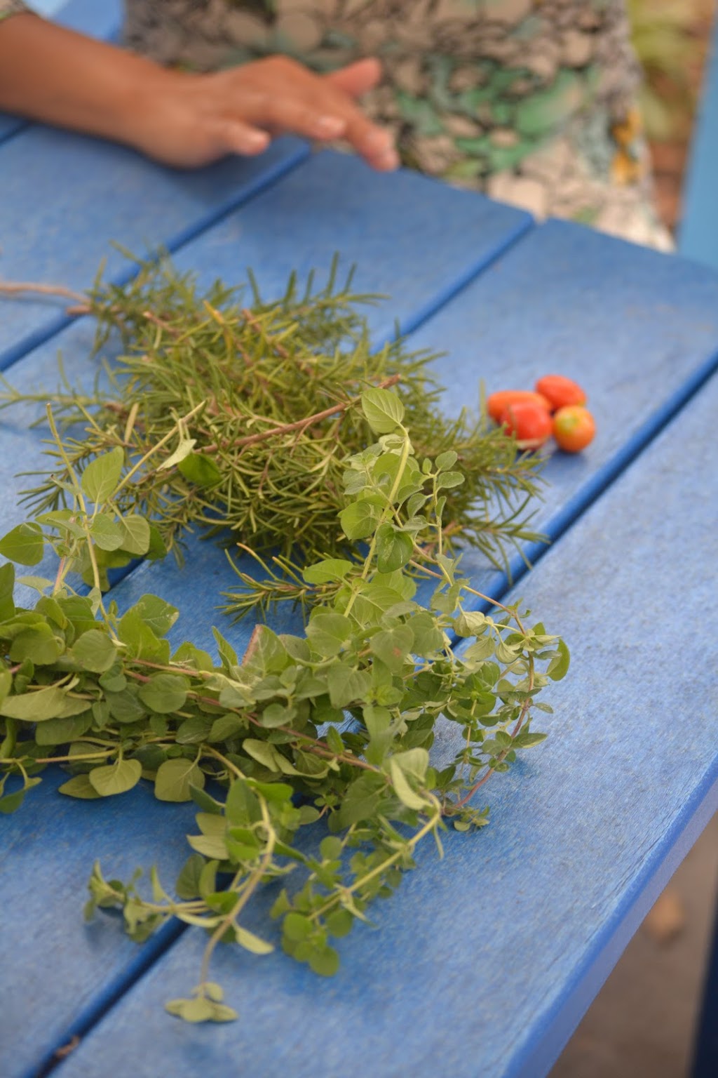 The Memory Center | 1853 Old Donation Pkwy, Virginia Beach, VA 23454, USA | Phone: (757) 412-1180