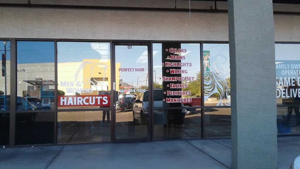 Perfect Hair Salon | 10839 E Apache Trail #137, Apache Junction, AZ 85120, USA | Phone: (480) 354-5919