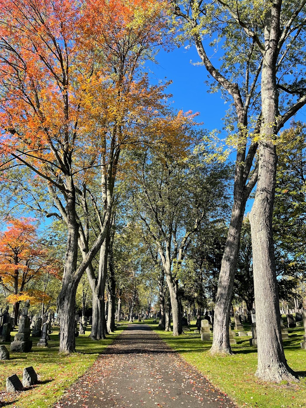 Holy Cross Cemetery | 861-929 Fr. Baker Blvd, Lackawanna, NY 14218, USA | Phone: (716) 823-1197