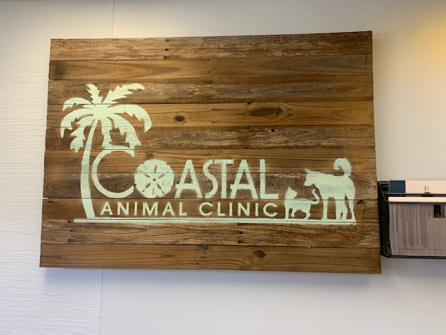Coastal Animal Clinic | 1019 Highland Ave, Largo, FL 33770, USA | Phone: (727) 518-7387