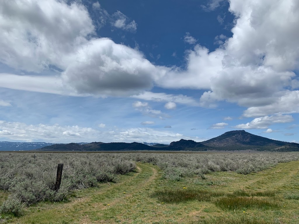 Sierra Valley Preserve Public Access | Co Rte A24, Beckwourth, CA 96129, USA | Phone: (530) 283-5758