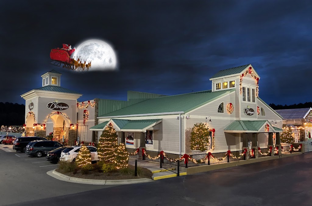 Christmas Land at DeWaynes | 1575 Outlet Center Dr, Selma, NC 27576, USA | Phone: (919) 202-8471