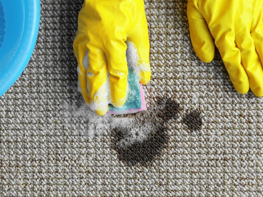 Mountain Best Carpet & Upholstery Cleaning | 26238 South End Rd, Kittredge, CO 80457, USA | Phone: (720) 776-2158
