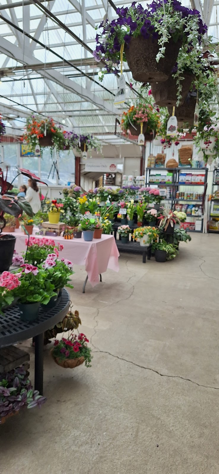 Gardenville Blooms | 2723 Clinton St, West Seneca, NY 14224, USA | Phone: (716) 826-3025