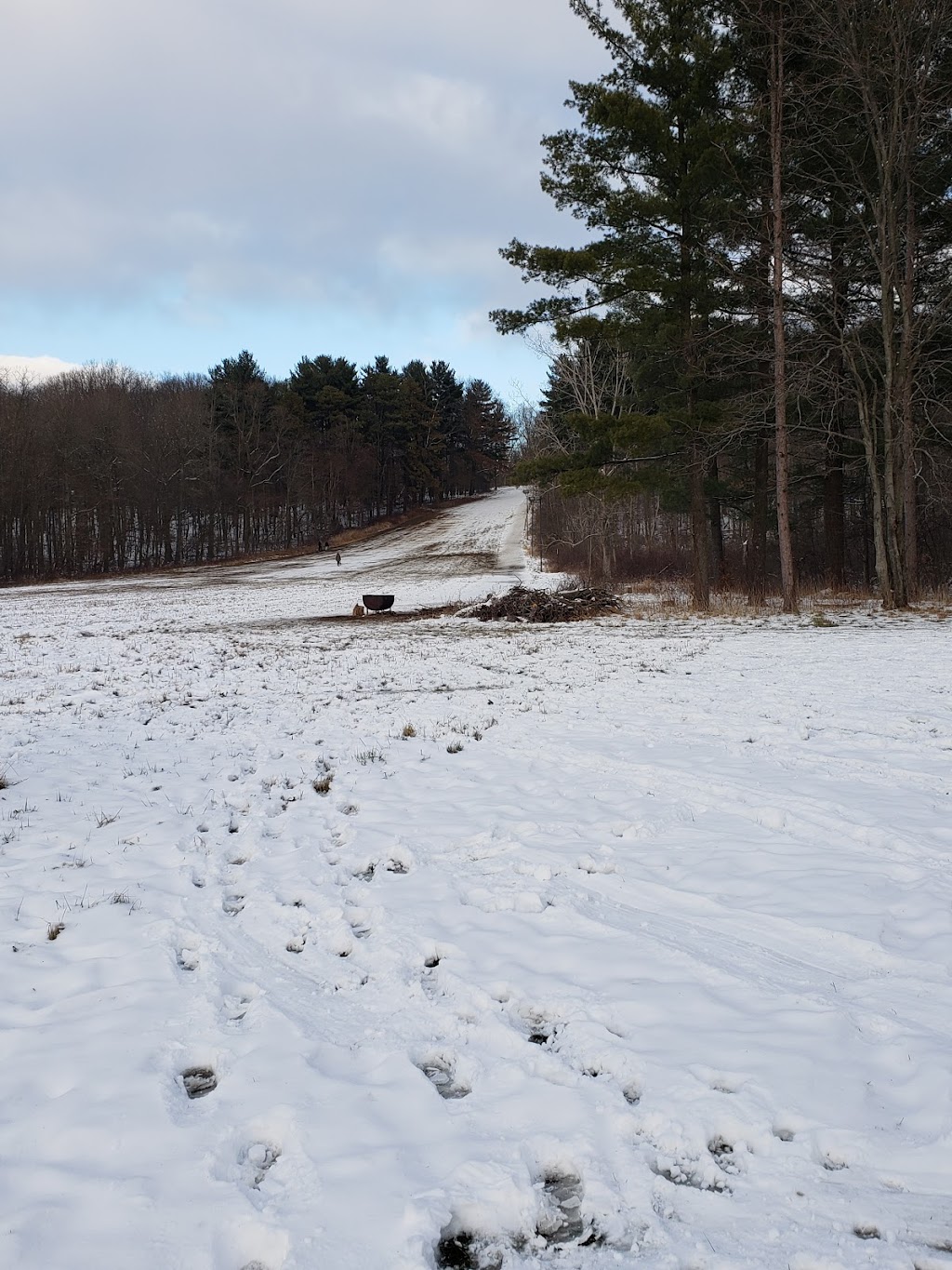 Hinckley Township Sledding Hill | Hinckley, OH 44233, USA | Phone: (330) 278-2160