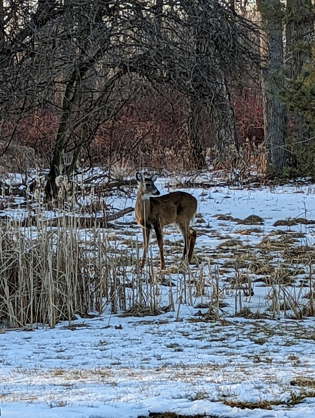 Lake St. Clair Metropark Nature Center | 31300 Metro Parkway, Harrison Twp, MI 48045, USA | Phone: (586) 463-4332