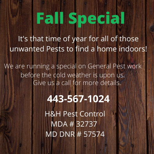 H&H Pest Control | 4680 Norrisville Rd, White Hall, MD 21161, USA | Phone: (443) 567-1024