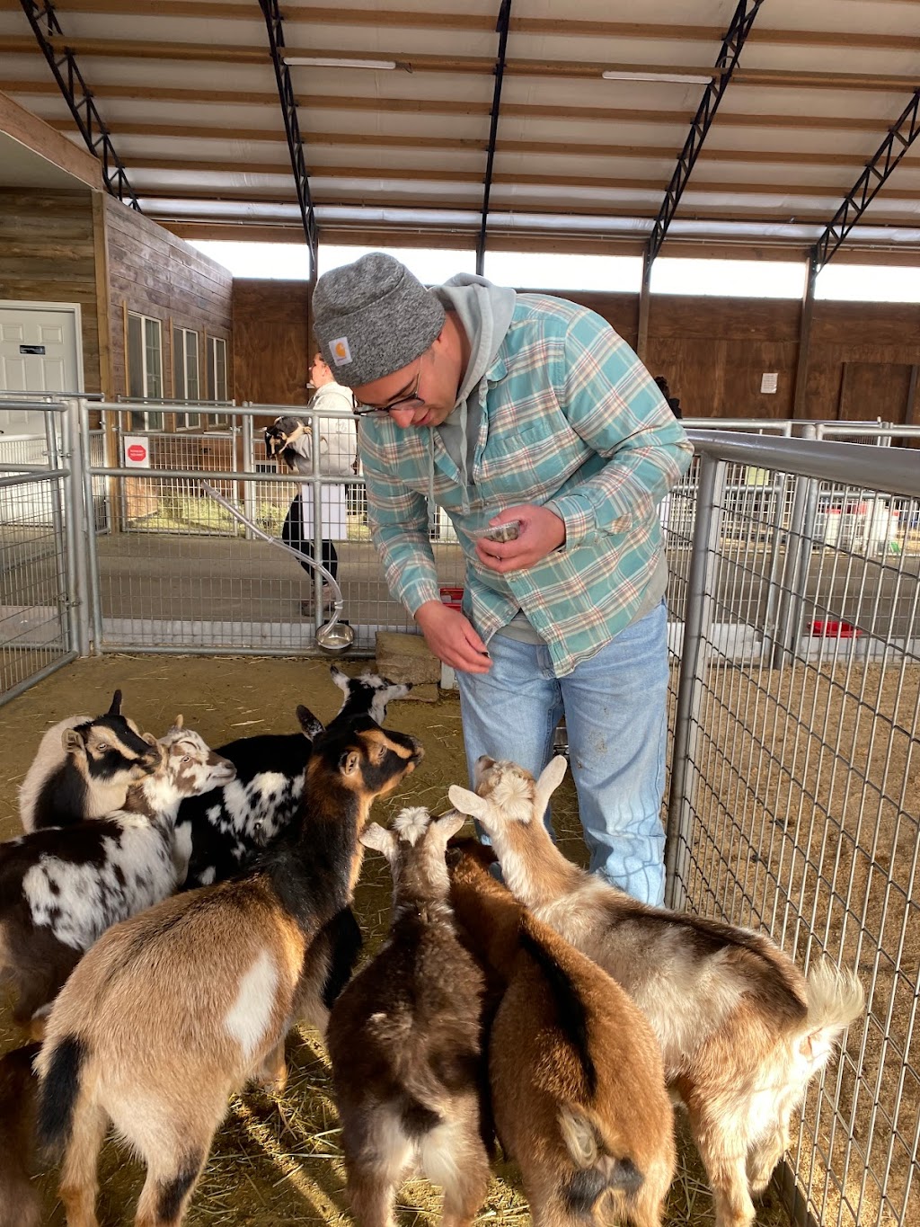 Lil Buckaroos Petting Zoo | 4738 Co Rd 5, Erie, CO 80516, USA | Phone: (303) 870-5106