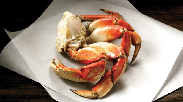 Shoreline Seafood Inc. | 1034 MD-3, Gambrills, MD 21054 | Phone: (410) 721-7767