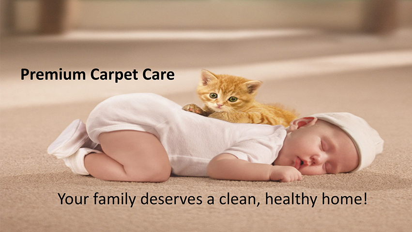 Premium Carpet Care | 3420 N 22nd St #3, Lincoln, NE 68521, USA | Phone: (402) 525-1580