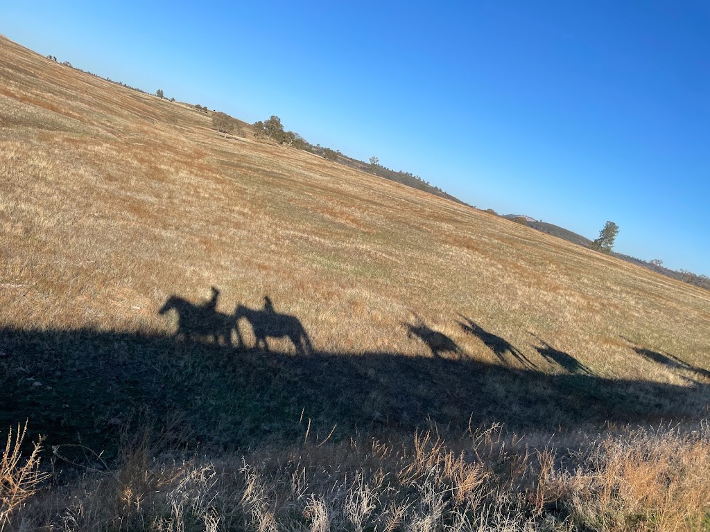 4 Horse Ranch | 2911 Patriot Way, Valley Springs, CA 95252, USA | Phone: (925) 586-5447 4 Horse Ranch | 2911 Patriot Way, Valley Springs, CA 95252, USA | Phone: (925) 586-5447