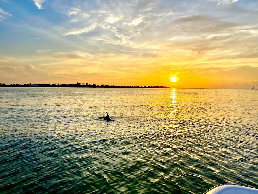 Anna Maria Island Dolphin Tours | 5325 Marina Dr, Holmes Beach, FL 34217, USA | Phone: (941) 281-3461