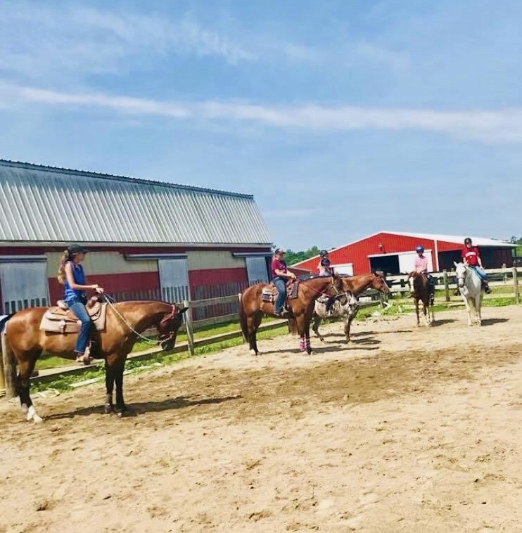 J&J Equestrian Center | 707 Edith Ave, Noblesville, IN 46060, USA | Phone: (317) 340-1420