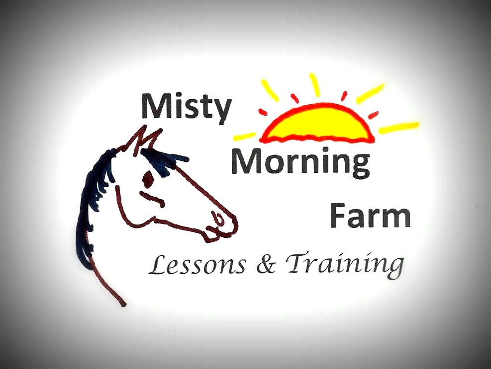 Misty Morning Farm Lessons & Training | W6428 Klassy Rd, New Glarus, WI 53574, USA | Phone: (608) 620-4567
