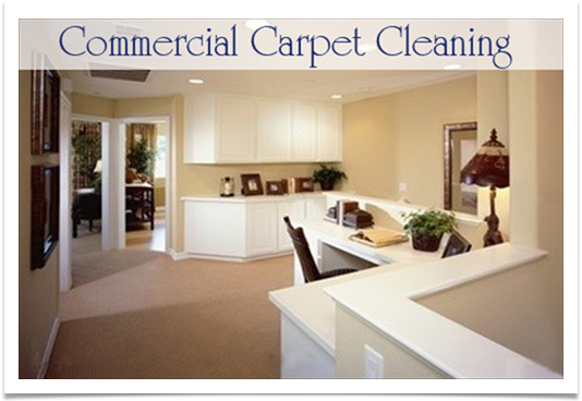 Healthy Interior Services | 459 David Ln, Mason, OH 45040, USA | Phone: (513) 398-6809