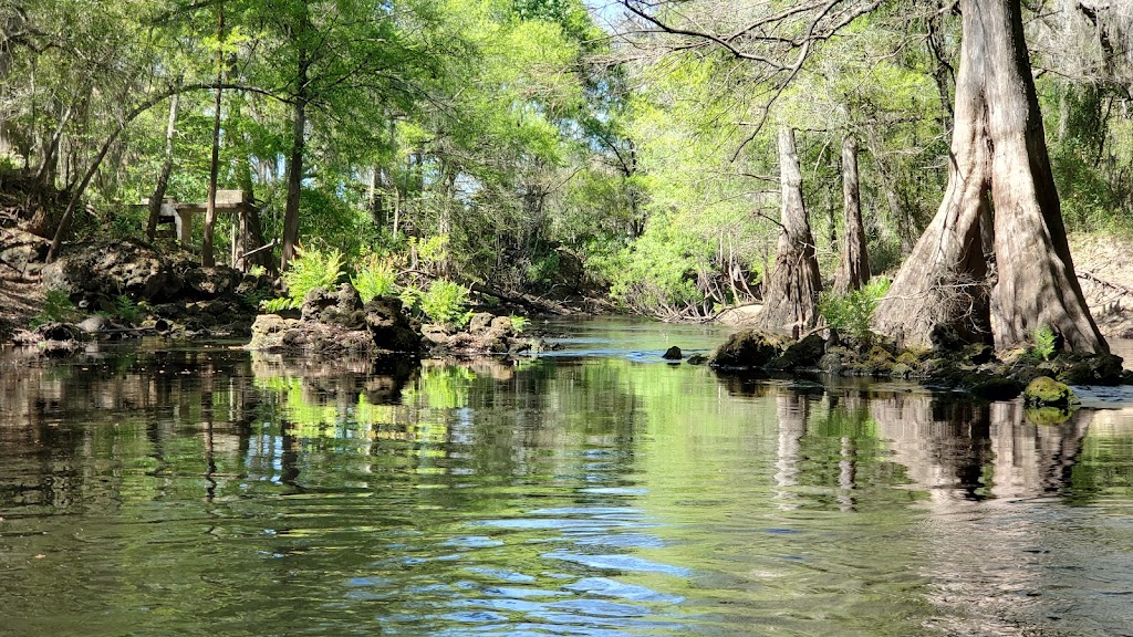 Withlacoochee River RV Park & Canoe Rental | 39847 FL-575, Dade City, FL 33523, USA | Phone: (352) 583-4778