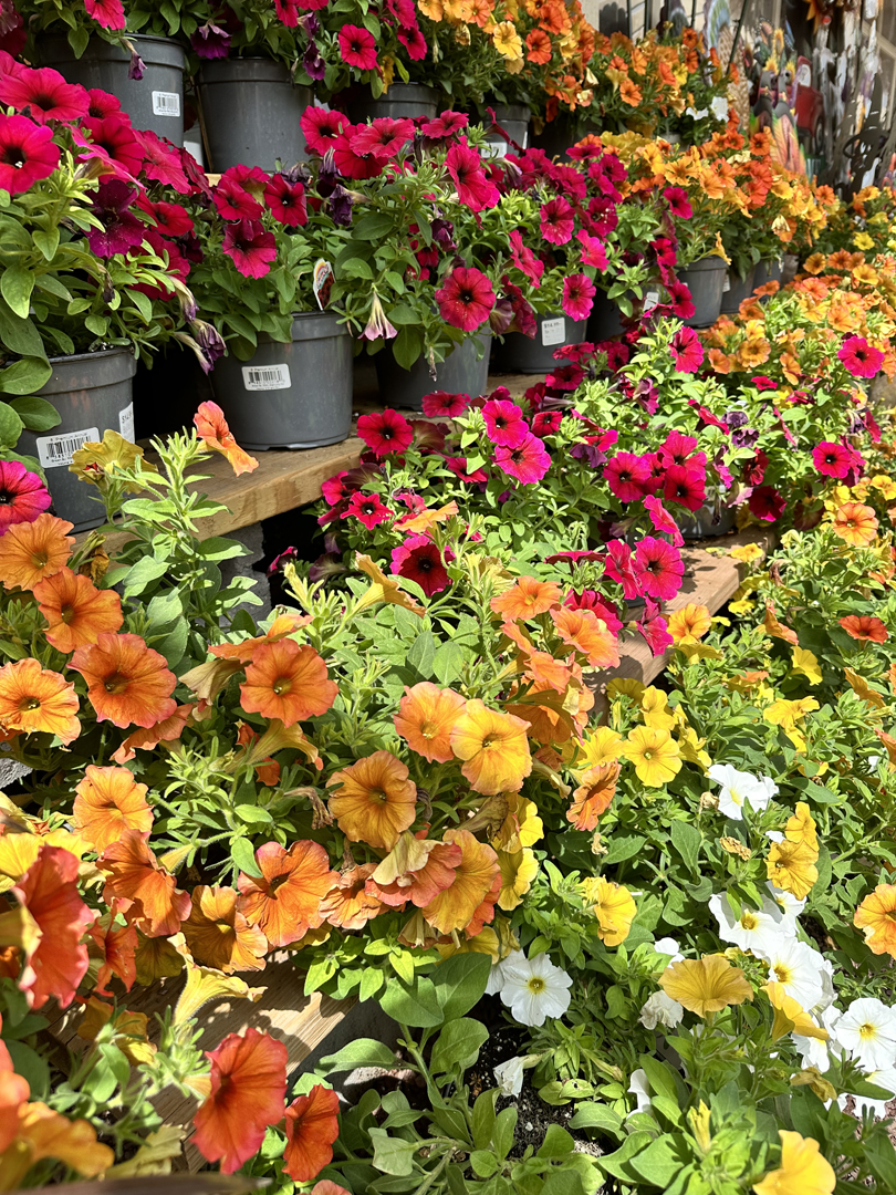 Zadlock Garden & Landscape Supply | 409 County Rd 513, Califon, NJ 07830, USA | Phone: (833) 923-5625