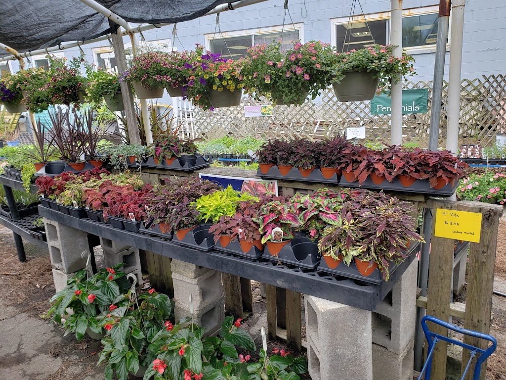 Uncle Bills Garden Center | 8642 Winton Rd, Cincinnati, OH 45231, USA | Phone: (513) 522-4438