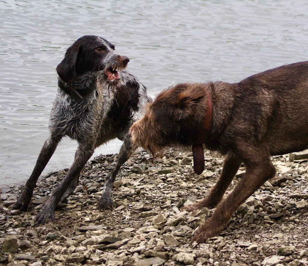 David I. Steinberg Law Group, LLC | 7700 Old Branch Ave # B105, Clinton, MD 20735, USA | Phone: (301) 632-9800