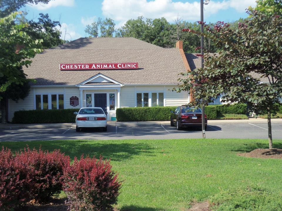 Chester Animal Clinic | 12021 Iron Bridge Rd, Chester, VA 23831, USA | Phone: (804) 748-2244