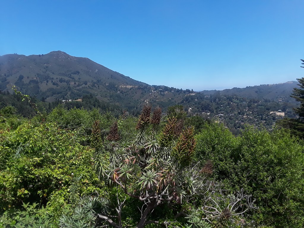 Stefanos Pizza | 225 Corte Madera Ave, Corte Madera, CA 94925, USA | Phone: (415) 924-9666