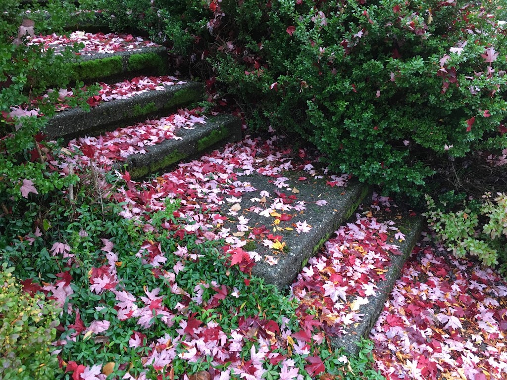 Bybee Park | 34802 SE Bybee St, Snoqualmie, WA 98065, USA | Phone: (425) 831-5784