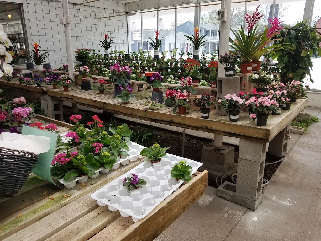 Vissers Florist & Greenhouses | 701 W Lincoln Ave, Anaheim, CA 92805, USA | Phone: (714) 772-9900