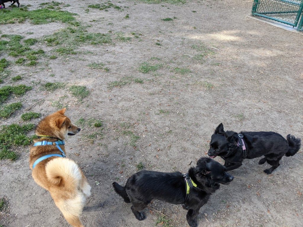 Dog Park | Garden Grove | 13601 Deodara Dr, Garden Grove, CA 92844, USA | Phone: (714) 741-5000