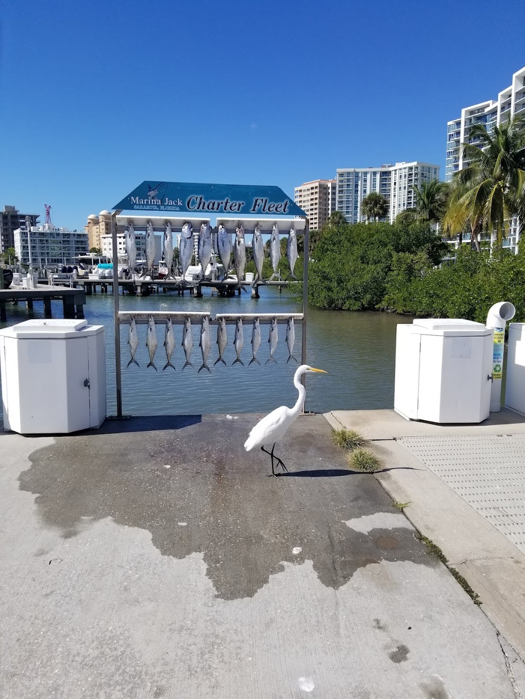 Charter Boat Shark | 2 Marina Plaza #E27, Sarasota, FL 34236, USA | Phone: (941) 365-2161