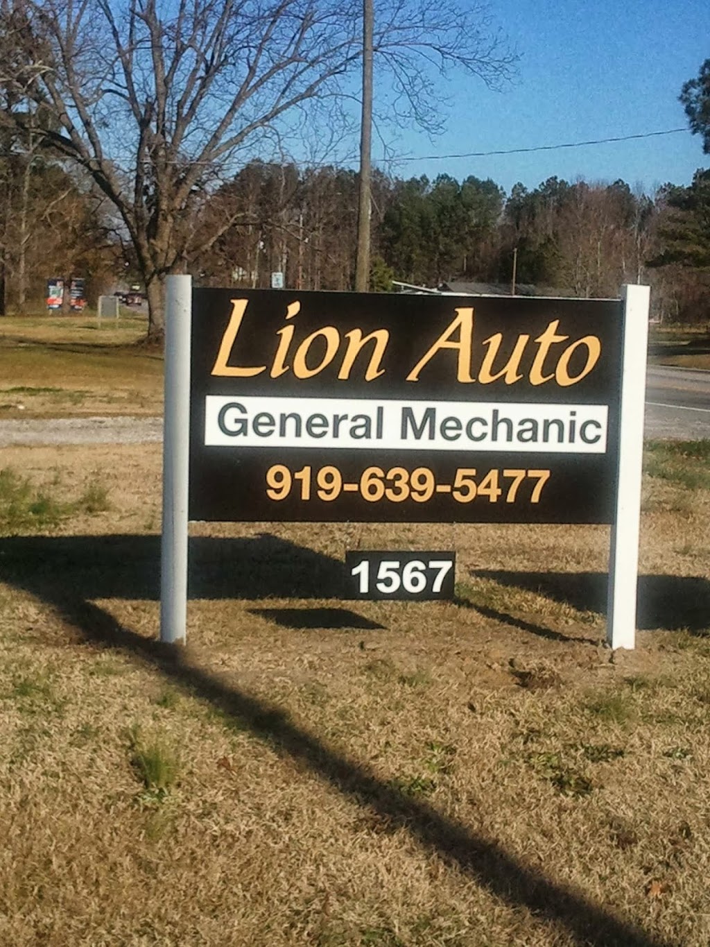 Lion Auto Service | 1567 N Raleigh St, Angier, NC 27501, USA | Phone: (919) 639-5477