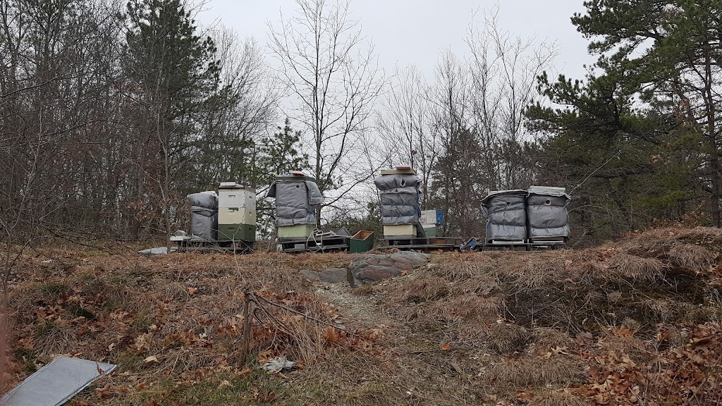 Woods Beekeeping Supply & Academy | 690 George Washington Hwy, Lincoln, RI 02865, USA | Phone: (401) 305-2355