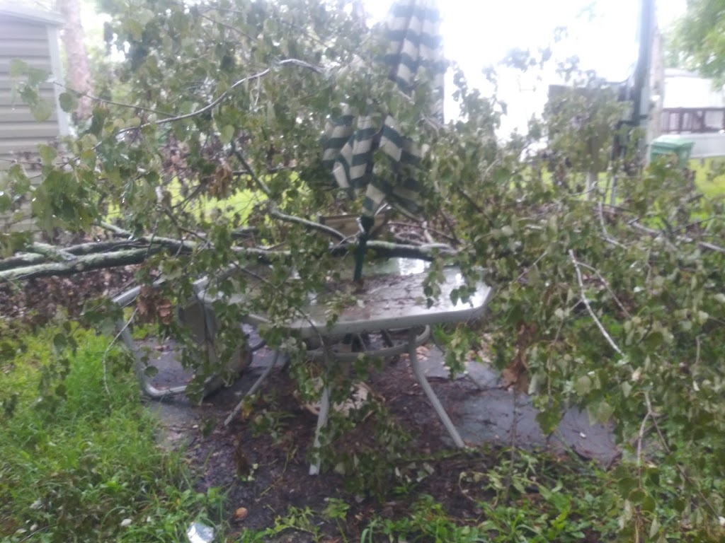 Woodland Estates | 9359 103rd St, Jacksonville, FL 32210, USA | Phone: (904) 771-9055