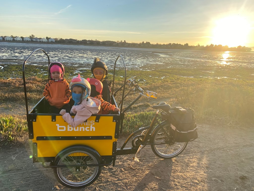 Bunch Bikes - Family Cargo Bikes | 4408 Worthington Dr Ste 108, Denton, TX 76207, USA | Phone: (940) 536-0597