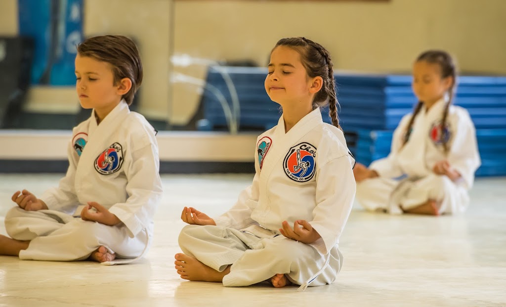 Grandmaster Hee Il Chos Tae Kwon Do Center | 7192 Kalanianaʻole Hwy, Honolulu, HI 96825, USA | Phone: (808) 396-8900