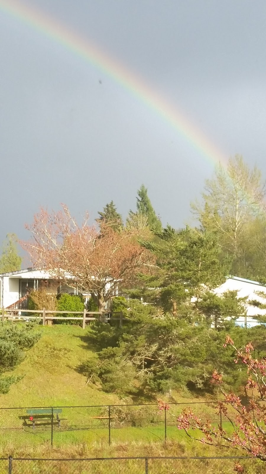 Orchard Bluff Mobile Home 1345 SE Carl Pickel Dr Port Orchard WA