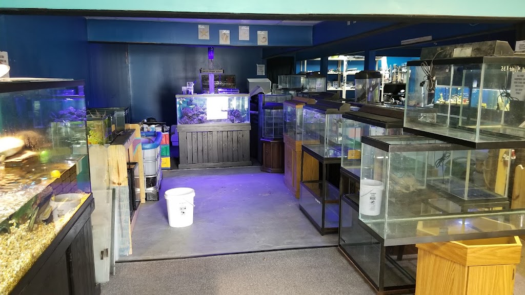 Changing Tide Aquatics | 311 E Foulke Ave, Findlay, OH 45840, USA | Phone: (419) 889-1317